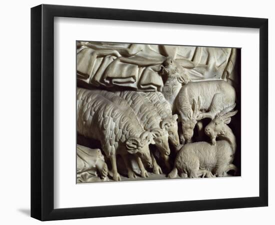 Flock of Rams-Nicola Pisano-Framed Giclee Print