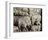 Flock of Rams-Nicola Pisano-Framed Giclee Print