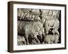 Flock of Rams-Nicola Pisano-Framed Giclee Print