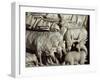 Flock of Rams-Nicola Pisano-Framed Giclee Print