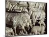 Flock of Rams-Nicola Pisano-Mounted Giclee Print