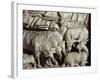 Flock of Rams-Nicola Pisano-Framed Giclee Print