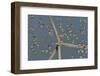 Flock of Sanderlings in flight with wind turbines in background-Loic Poidevin-Framed Photographic Print