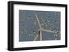 Flock of Sanderlings in flight with wind turbines in background-Loic Poidevin-Framed Photographic Print