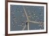 Flock of Sanderlings in flight with wind turbines in background-Loic Poidevin-Framed Photographic Print