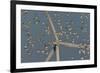 Flock of Sanderlings in flight with wind turbines in background-Loic Poidevin-Framed Photographic Print