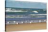 Flock of seaguls on the beaches of Lake Michigan, Indiana Dunes, Indiana, USA-Anna Miller-Stretched Canvas