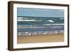 Flock of seaguls on the beaches of Lake Michigan, Indiana Dunes, Indiana, USA-Anna Miller-Framed Photographic Print