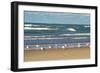 Flock of seaguls on the beaches of Lake Michigan, Indiana Dunes, Indiana, USA-Anna Miller-Framed Photographic Print