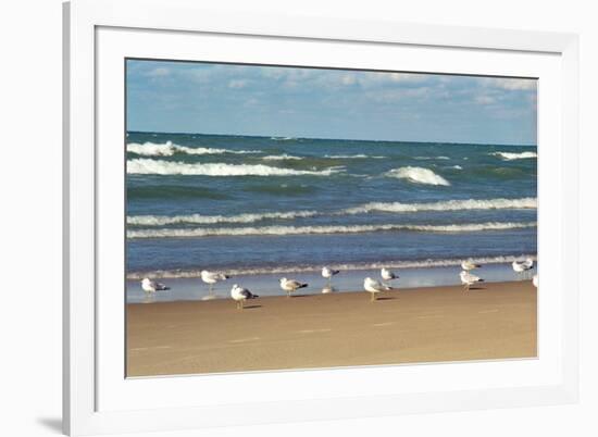 Flock of seaguls on the beaches of Lake Michigan, Indiana Dunes, Indiana, USA-Anna Miller-Framed Photographic Print