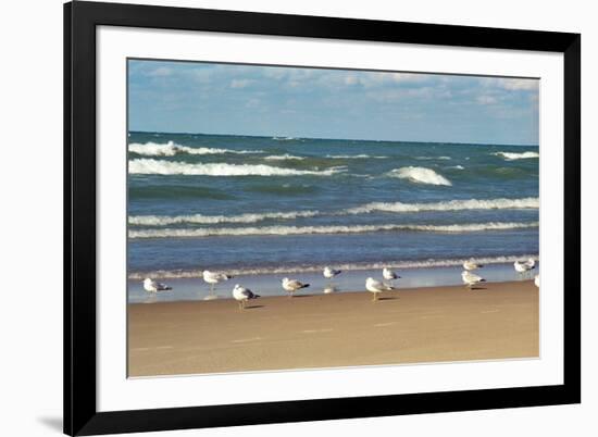 Flock of seaguls on the beaches of Lake Michigan, Indiana Dunes, Indiana, USA-Anna Miller-Framed Photographic Print