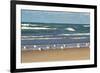 Flock of seaguls on the beaches of Lake Michigan, Indiana Dunes, Indiana, USA-Anna Miller-Framed Photographic Print