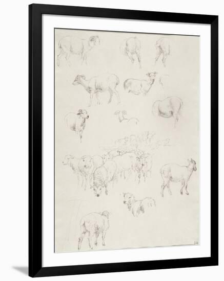 Flock of Sheep, after 1794-Robert Hills-Framed Giclee Print