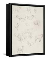 Flock of Sheep, after 1794-Robert Hills-Framed Stretched Canvas