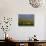 Flock of Sheep and Farmouse in Scottish Countryside, Scotland, United Kingdom, Europe-James Gritz-Stretched Canvas displayed on a wall