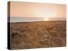 Flock of Sheep at Sunset by the Sea, Near Erice, Western Sicily, Italy, Europe-Mark Banks-Stretched Canvas