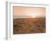 Flock of Sheep at Sunset by the Sea, Near Erice, Western Sicily, Italy, Europe-Mark Banks-Framed Photographic Print