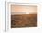 Flock of Sheep at Sunset by the Sea, Near Erice, Western Sicily, Italy, Europe-Mark Banks-Framed Photographic Print