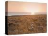 Flock of Sheep at Sunset by the Sea, Near Erice, Western Sicily, Italy, Europe-Mark Banks-Stretched Canvas