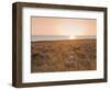 Flock of Sheep at Sunset by the Sea, Near Erice, Western Sicily, Italy, Europe-Mark Banks-Framed Photographic Print