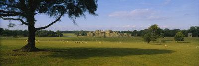 https://imgc.allpostersimages.com/img/posters/flock-of-sheep-grazing-in-a-field-holkham-hall-norfolk-england_u-L-P19W0H0.jpg?artPerspective=n