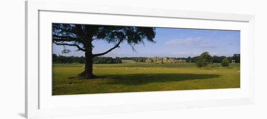 Flock of Sheep Grazing in a Field, Holkham Hall, Norfolk, England-null-Framed Photographic Print