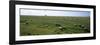 Flock of Sheep Grazing in a Field, Mont Saint-Michel, Basse-Normandy, Brittany, France-null-Framed Photographic Print