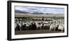 Flock of Sheep in a Farm with Mountains in the Background, Estancia Punta Del Monte-null-Framed Photographic Print
