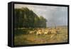 Flock of Sheep in a Landscape-Charles Emile Jacque-Framed Stretched Canvas