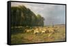 Flock of Sheep in a Landscape-Charles Emile Jacque-Framed Stretched Canvas