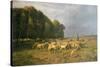 Flock of Sheep in a Landscape-Charles Emile Jacque-Stretched Canvas