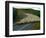 Flock of Sheep in Roadway-John Carnemolla-Framed Photographic Print