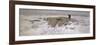 Flock of Sheep in the Snow-Anton Mauve-Framed Giclee Print