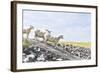 Flock of Sheep on the Dyke-Photo-Active-Framed Photographic Print