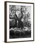Flock of Sheep under an Olive Tree-Alfred Eisenstaedt-Framed Photographic Print