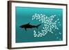 Flock of Small Fish and Shark-Arkela-Framed Art Print