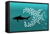 Flock of Small Fish and Shark-Arkela-Framed Stretched Canvas