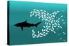 Flock of Small Fish and Shark-Arkela-Stretched Canvas
