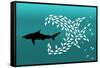 Flock of Small Fish and Shark-Arkela-Framed Stretched Canvas