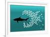 Flock of Small Fish and Shark-Arkela-Framed Premium Giclee Print