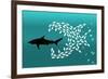 Flock of Small Fish and Shark-Arkela-Framed Art Print