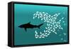 Flock of Small Fish and Shark-Arkela-Framed Stretched Canvas