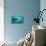 Flock of Small Fish and Shark-Arkela-Art Print displayed on a wall