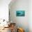 Flock of Small Fish and Shark-Arkela-Mounted Art Print displayed on a wall