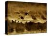 Flock of Snow Geese and Sandhill Cranes in Water and Ground Fog-Arthur Morris-Stretched Canvas