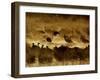 Flock of Snow Geese and Sandhill Cranes in Water and Ground Fog-Arthur Morris-Framed Premium Photographic Print