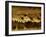 Flock of Snow Geese and Sandhill Cranes in Water and Ground Fog-Arthur Morris-Framed Premium Photographic Print