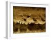 Flock of Snow Geese and Sandhill Cranes in Water and Ground Fog-Arthur Morris-Framed Premium Photographic Print