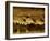 Flock of Snow Geese and Sandhill Cranes in Water and Ground Fog-Arthur Morris-Framed Photographic Print