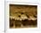 Flock of Snow Geese and Sandhill Cranes in Water and Ground Fog-Arthur Morris-Framed Photographic Print